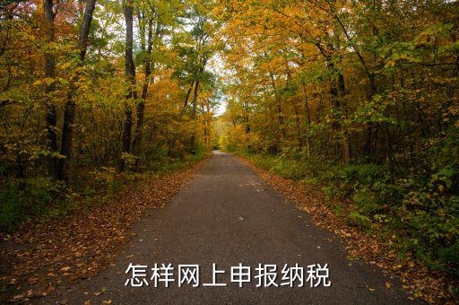 網上用什么申報稅務，怎樣網上申報納稅