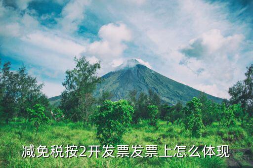 發(fā)票減免原因是什么意思，發(fā)票單上已免是什么意思