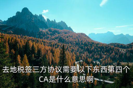 稅務局ca是什么意思，去地稅簽三方協議需要以下東西第四個CA是什么意思啊