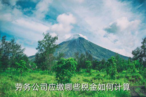 提供勞務服務交什么稅，勞務公司應繳哪些稅金如何計算