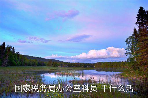 國(guó)稅行政辦公室干什么，國(guó)稅局辦公室怎么樣