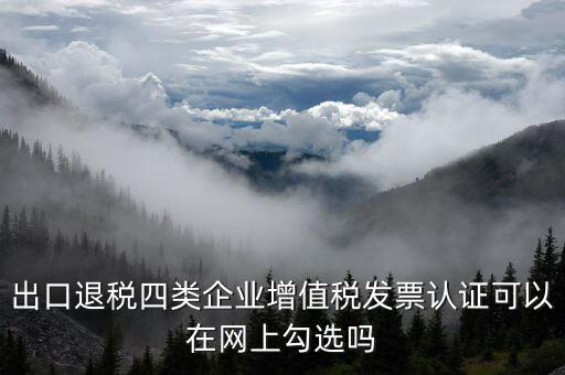 什么是出口四類企業，出口退稅四類企業增值稅發票認證可以在網上勾選嗎