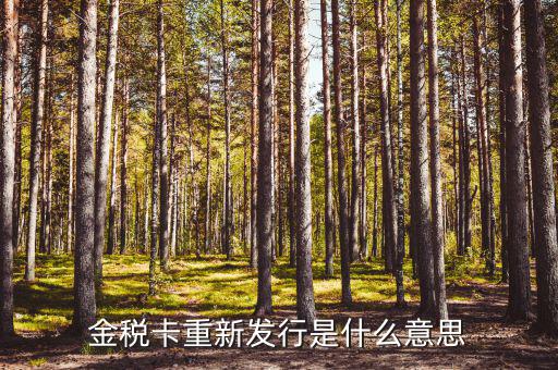 金稅卡重新發行是什么意思