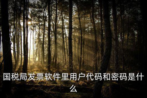 國稅局發票軟件里用戶代碼和密碼是什么