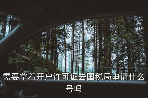 稅務局取號要帶什么，小規模納稅人去開戶行領取國稅完稅憑證時怎樣領需要帶什么東西