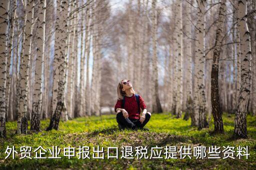 退稅要什么資料，企業(yè)辦理退稅申請審批需要準備一些什么材料
