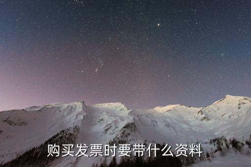 購發票 帶什么資料，購買增值稅普通發票需要帶什么資料