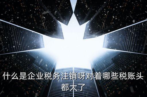 什么是錯(cuò)峰預(yù)約辦稅，網(wǎng)上辦稅系統(tǒng)納稅人未開通使用此介入軟件是什么意思