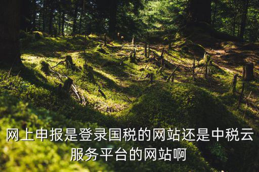 網上申報是登錄國稅的網站還是中稅云服務平臺的網站啊