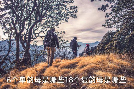 便民辦稅六個環節是什么，數物體的個數時數出6個數到第6個第7個是什么