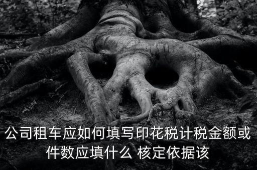 公司租車應如何填寫印花稅計稅金額或件數應填什么 核定依據該
