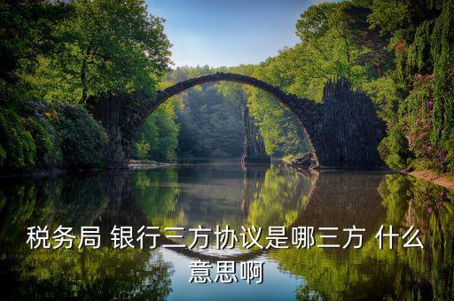 稅務局 銀行三方協議是哪三方 什么意思啊