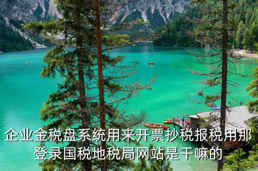 企業金稅盤系統用來開票抄稅報稅用那登錄國稅地稅局網站是干嘛的