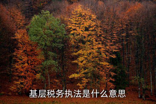 稅務執行是什么意思，compliance costs 是什么意思