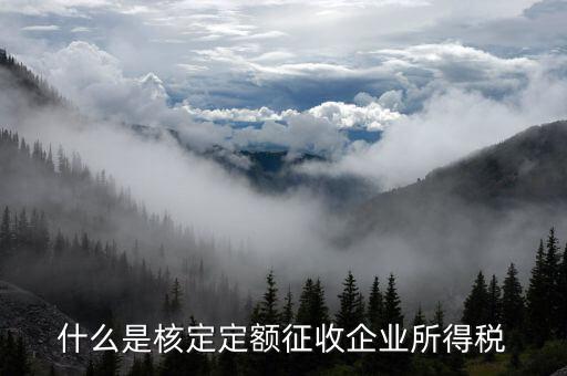 什么是核定定額征收企業所得稅