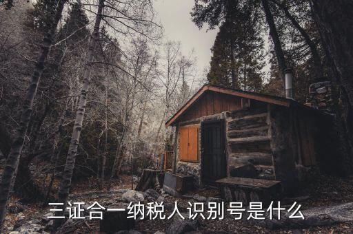 稅號識別號是什么意思，納稅人編碼 納稅人識別號有什么區別