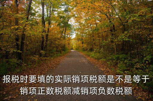 報稅時要填的實際銷項稅額是不是等于銷項正數稅額減銷項負數稅額