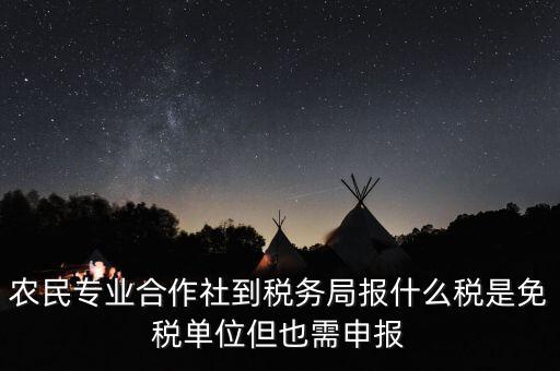 農民專業合作社到稅務局報什么稅是免稅單位但也需申報