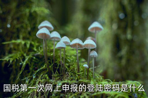 國稅登記密碼是什么，國稅第一次網(wǎng)上申報的登陸密碼是什么