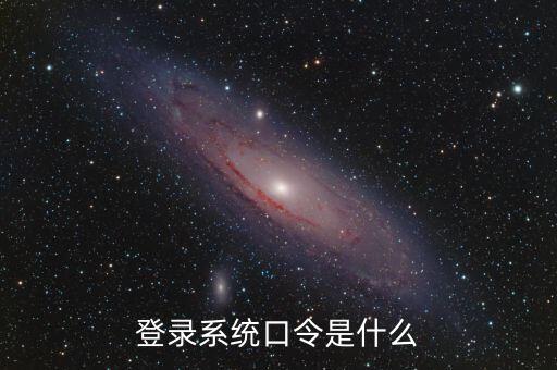 金稅系統登錄的證書口令是什么，我想問下國家稅務網上申報點擊安全登錄時出現的用戶口令是什么