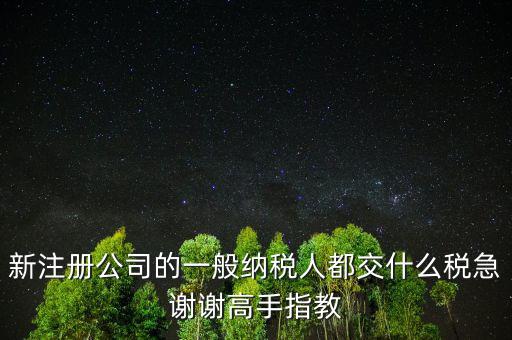 新注冊公司是什么納稅人，新辦企業是一般納稅人還是小規模納稅人