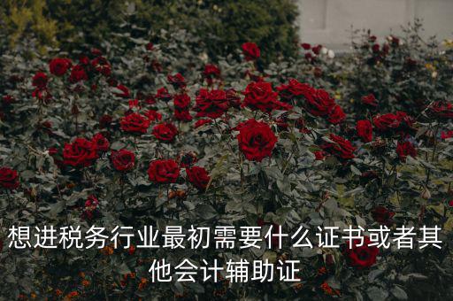想進(jìn)稅務(wù)行業(yè)最初需要什么證書或者其他會計(jì)輔助證