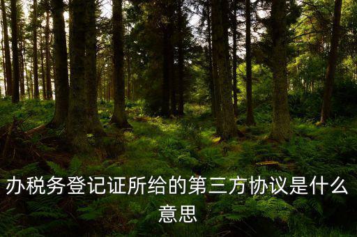 辦稅務登記證所給的第三方協議是什么意思