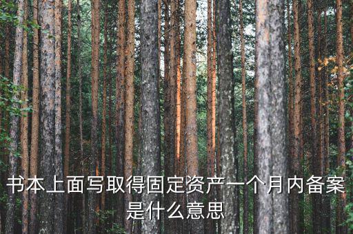 書本上面寫取得固定資產一個月內備案是什么意思