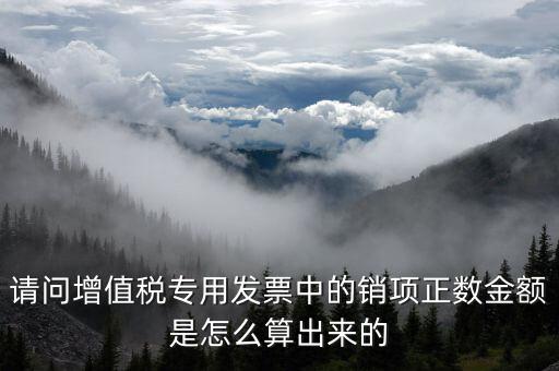 銷項正數(shù)金額是什么意思，銷項正數(shù)金額銷項負(fù)廢金額銷項負(fù)數(shù)金額是什么意