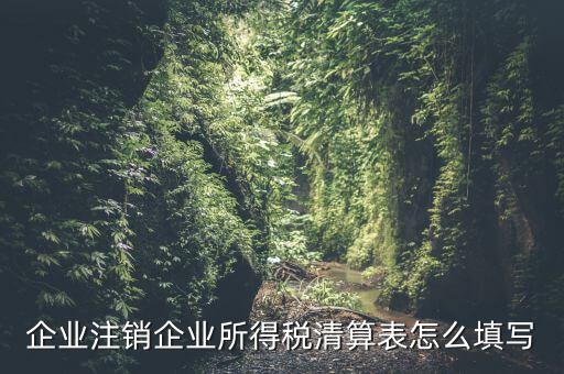 企業注銷企業所得稅清算表怎么填寫
