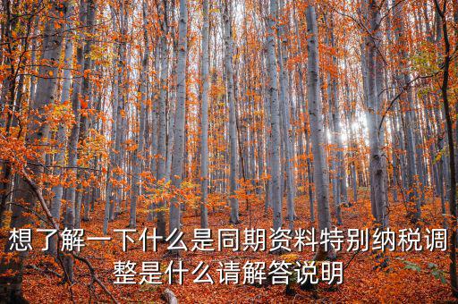 什么是特別納稅調整監控管理階段，想了解一下什么是同期資料特別納稅調整是什么請解答說明