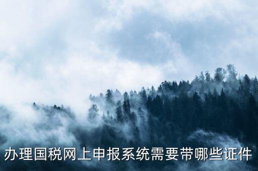 辦理國稅網上申報系統需要帶哪些證件