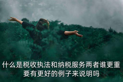 什么是稅收執法和納稅服務兩者誰更重要有更好的例子來說明嗎