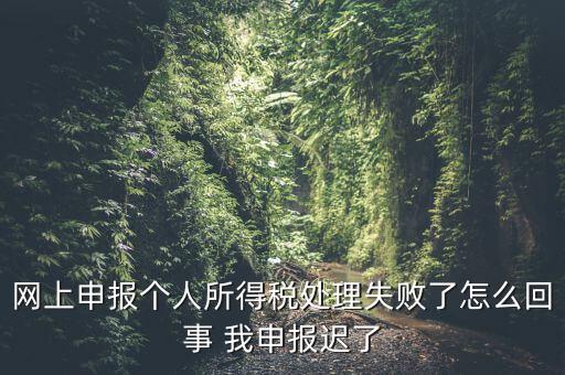 網上申報個人所得稅處理失敗了怎么回事 我申報遲了