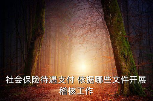 聯合稽查工作應遵循什么，稅務稽查工作底稿必須包括哪些內容