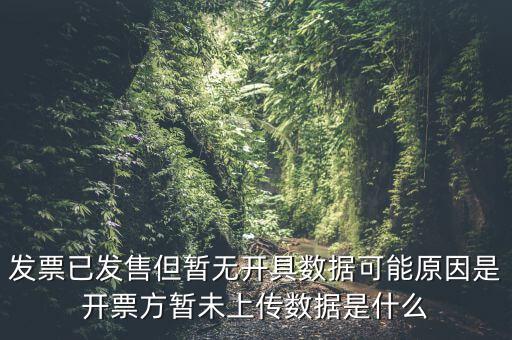 發票已發售但暫無開具數據可能原因是開票方暫未上傳數據是什么