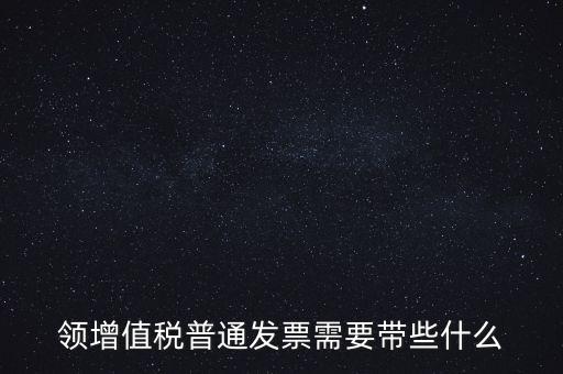 領增值稅普通發票需要帶些什么