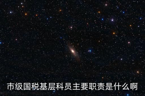 基層國(guó)稅辦公室做什么，請(qǐng)問(wèn)國(guó)稅局基層分局科員縣域主要負(fù)責(zé)什么工作