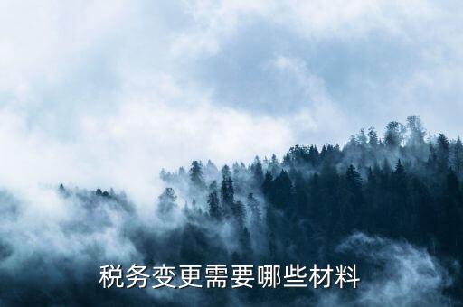 變更辦稅員要帶什么，財務負責人和辦稅員的變更需要辦理哪些手續