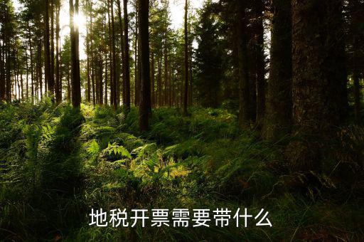 地稅的發票都有什么，地稅開票需要帶什么