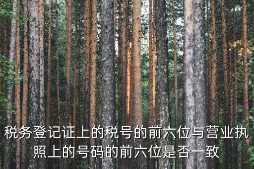 稅號前六位代表什么，納稅識別號前六位數為140111是什么意思