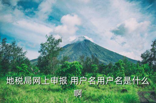 地稅注冊(cè)用戶名是什么意思，地稅的用戶名是什么