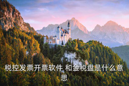 稅控發票開票軟件 和金稅盤是什么意思