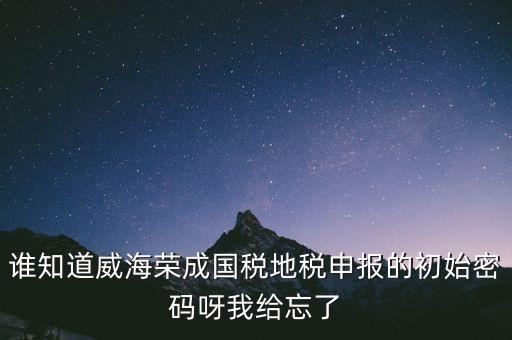 申報地稅的密碼是什么，徐州地稅網上申報的初始密碼是多少啊