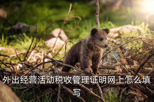 外管證編號是什么，外出經營活動稅收管理證明網上怎么填寫