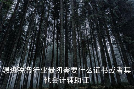 進(jìn)稅務(wù)局需要什么證件，想進(jìn)稅務(wù)行業(yè)最初需要什么證書