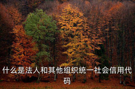 什么是法人和其他組織統一社會信用代碼