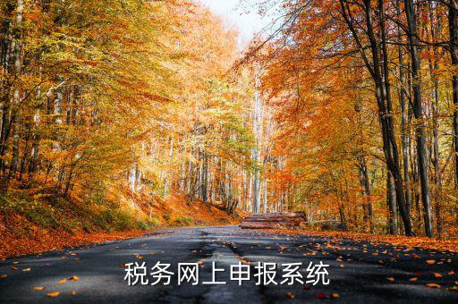 什么是稅收網報軟件，稅務網上申報系統