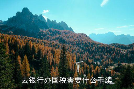 去銀行辦國稅需要什么手續