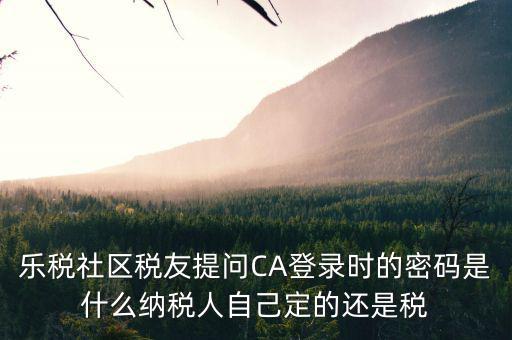 樂稅社區稅友提問CA登錄時的密碼是什么納稅人自己定的還是稅